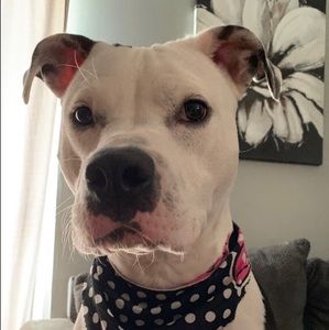 Meet your Posher, Nicki